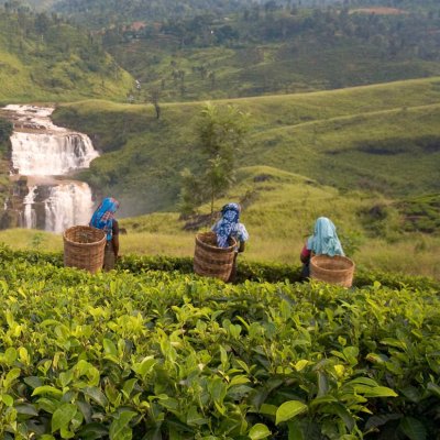 Best of Sri Lanka