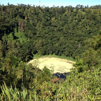 Discovering Mauritius: North, South & Southwest