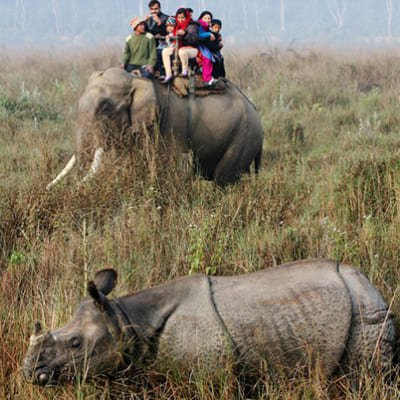 Nepal Odyssey: A Journey through Nature, Wildlife, and Culture