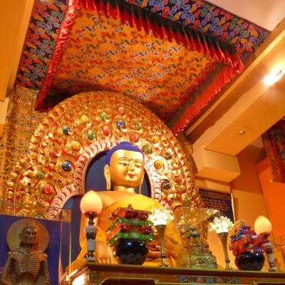 Soul Searching in Dharamsala: A Spiritual Journey through the Himalayas