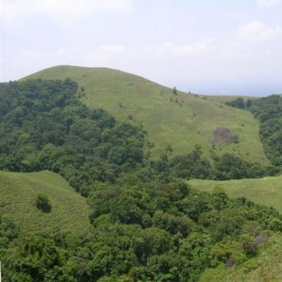 Sandalwood, Backwater & Spice Route