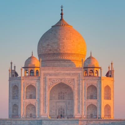 Taj, Tiger, Fort & Mansion