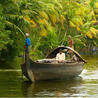 Colony, Backwaters & Beaches of Kerala