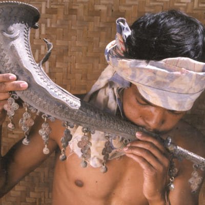 Tribal Tour (Odisha & Chattisgarh)