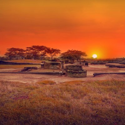 Flamingos and Archaeology: Nal Sarovar and Lothal Day Tour