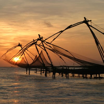 Golden Triangle & Ayurvedic Retreat in Kerala