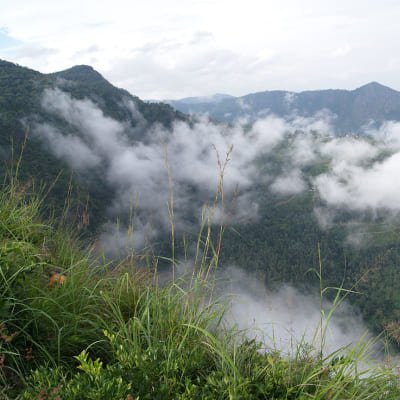 Ooty Escapade: A 3-day adventure in the lap of the Nilgiris