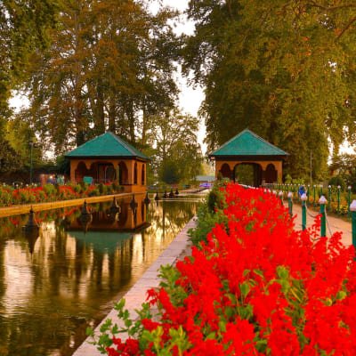 Srinagar Splendors: A Private City Tour