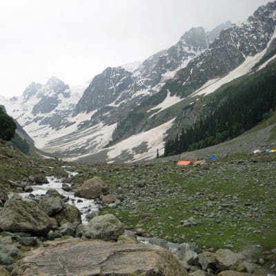 Majestic Sonamarg: A Day Trip to the Meadow of Gold from Srinagar