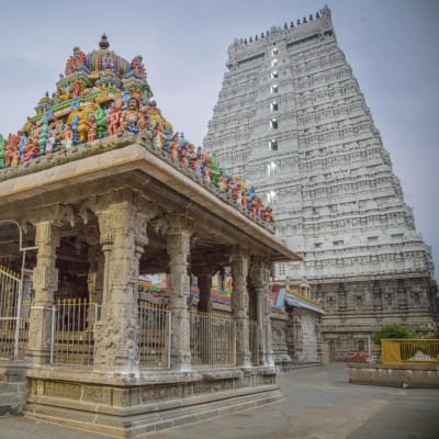 Hill of Enlightenment: A Day Trip from Trichy to Tiruvannamalai