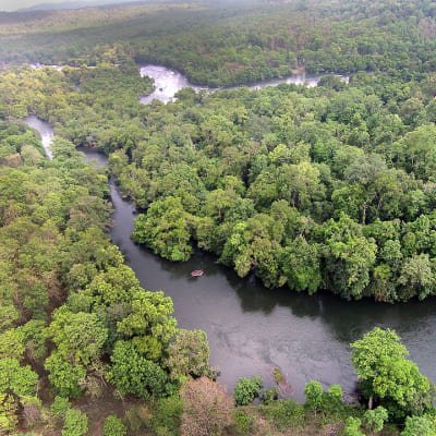 Goa to Anshi National Park (Kali Tiger Reserve), Extension to Wildlife Safari Tour