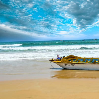 Hubli to Anshi National Park (Kali Tiger Reserve) & Goa Beach Tour