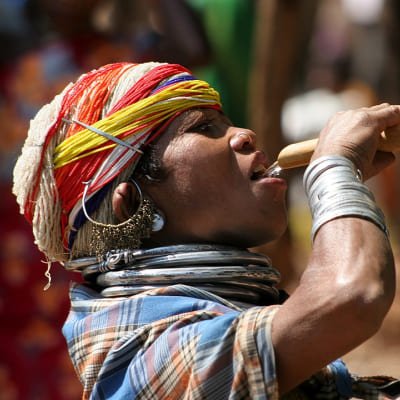 Vizag to Nagpur Tribal Communities & Tiger Safari