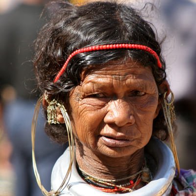 Nagpur to Vizag Tribal Villages & Tiger Safari