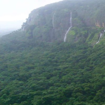 Pune to Koyna Jungle Expedition