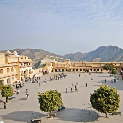 Classical Golden Triangle 