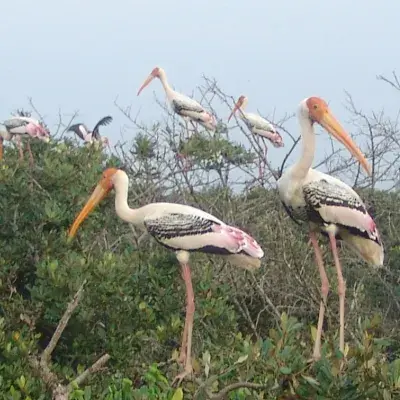 Delhi to Agra & Bharatpur Bird Sanctuary Tour