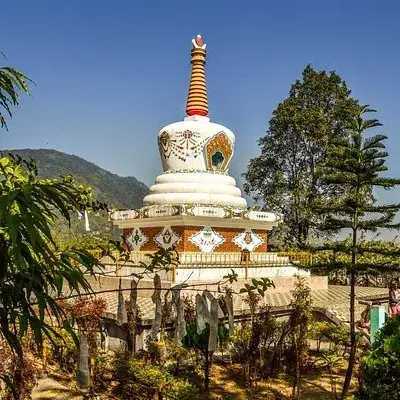 Assam Tea Estate, Monasteries & National Park Tour