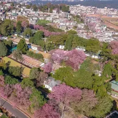 Best of Assam and Meghalaya: 5-Day Tour of Guwahati and Shillong