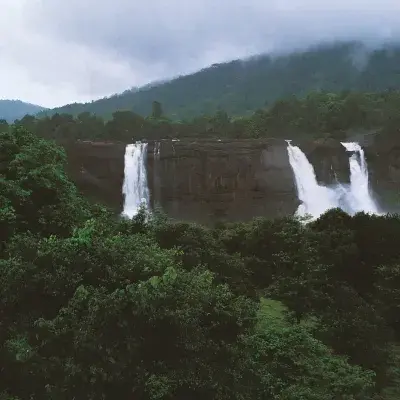 Kerala Hill Station And Backwater Private Tour