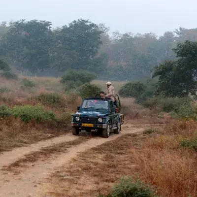 Heritage Trails and Wildlife Encounters: Bhopal to Jabalpur