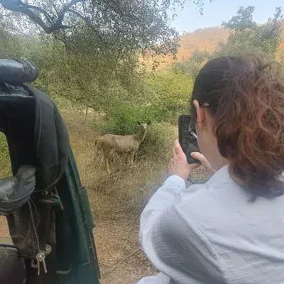 Delhi to Sariska National Park: A Thrilling Wildlife Excursion