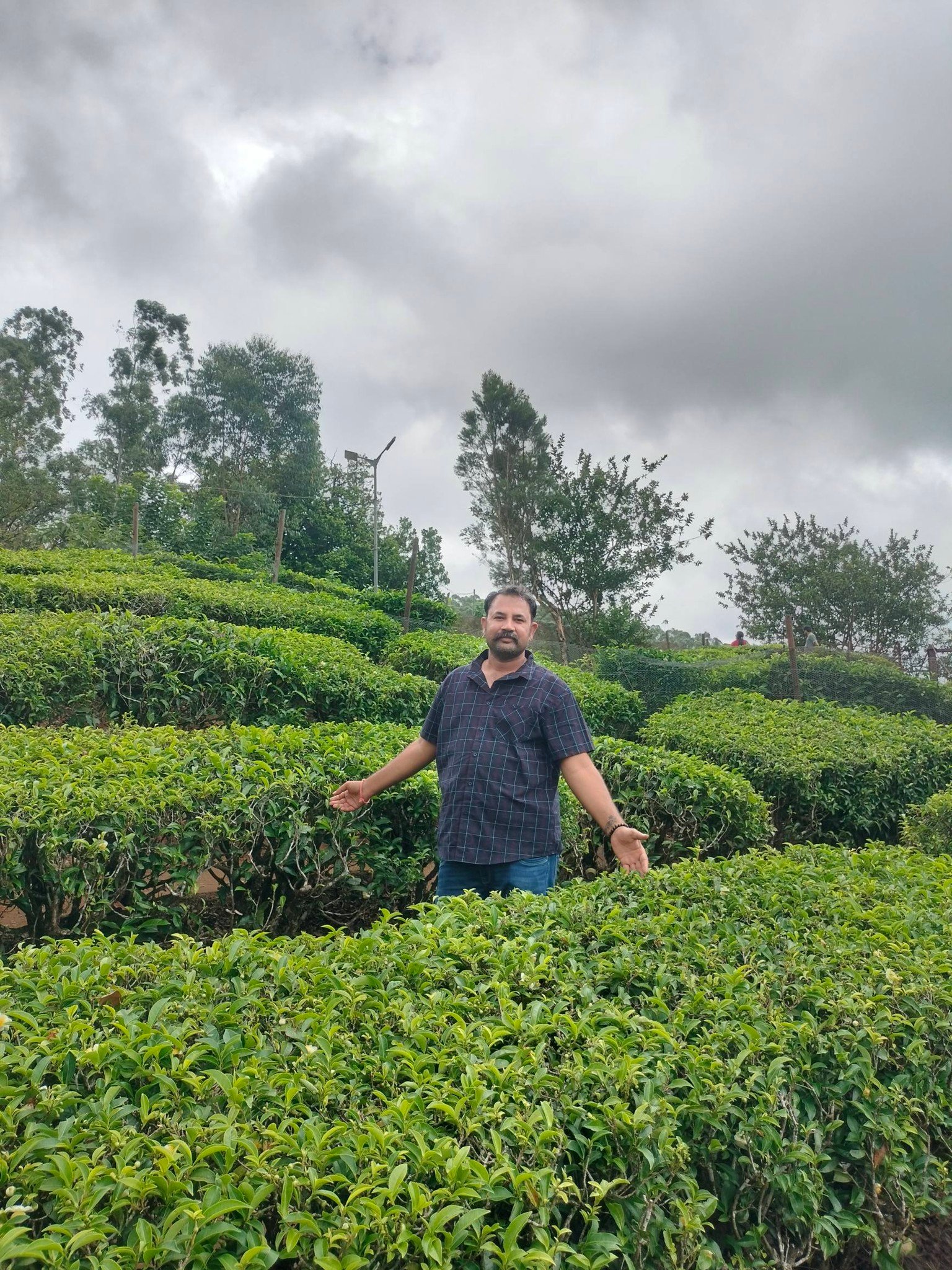 Cochin to Munnar, Thekkady & Alleppey