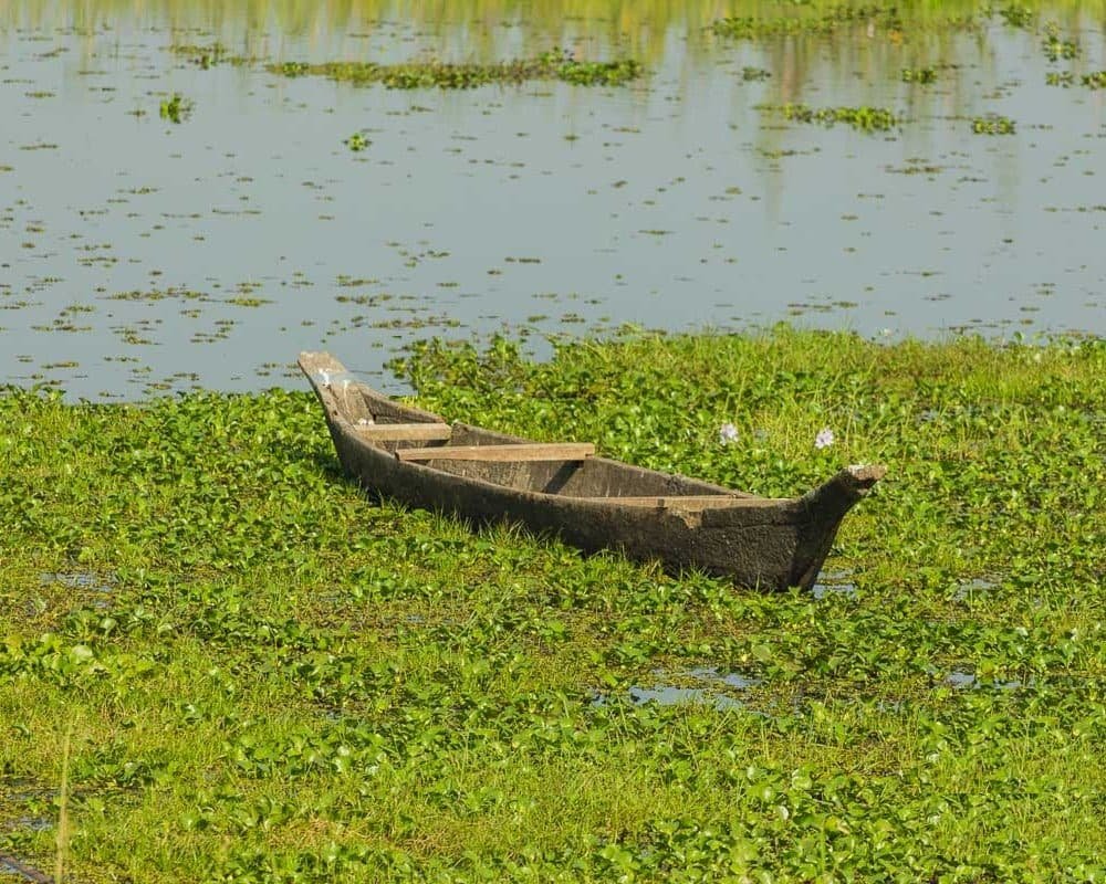 Guwahati, Kaziranga & Majuli Island Tour