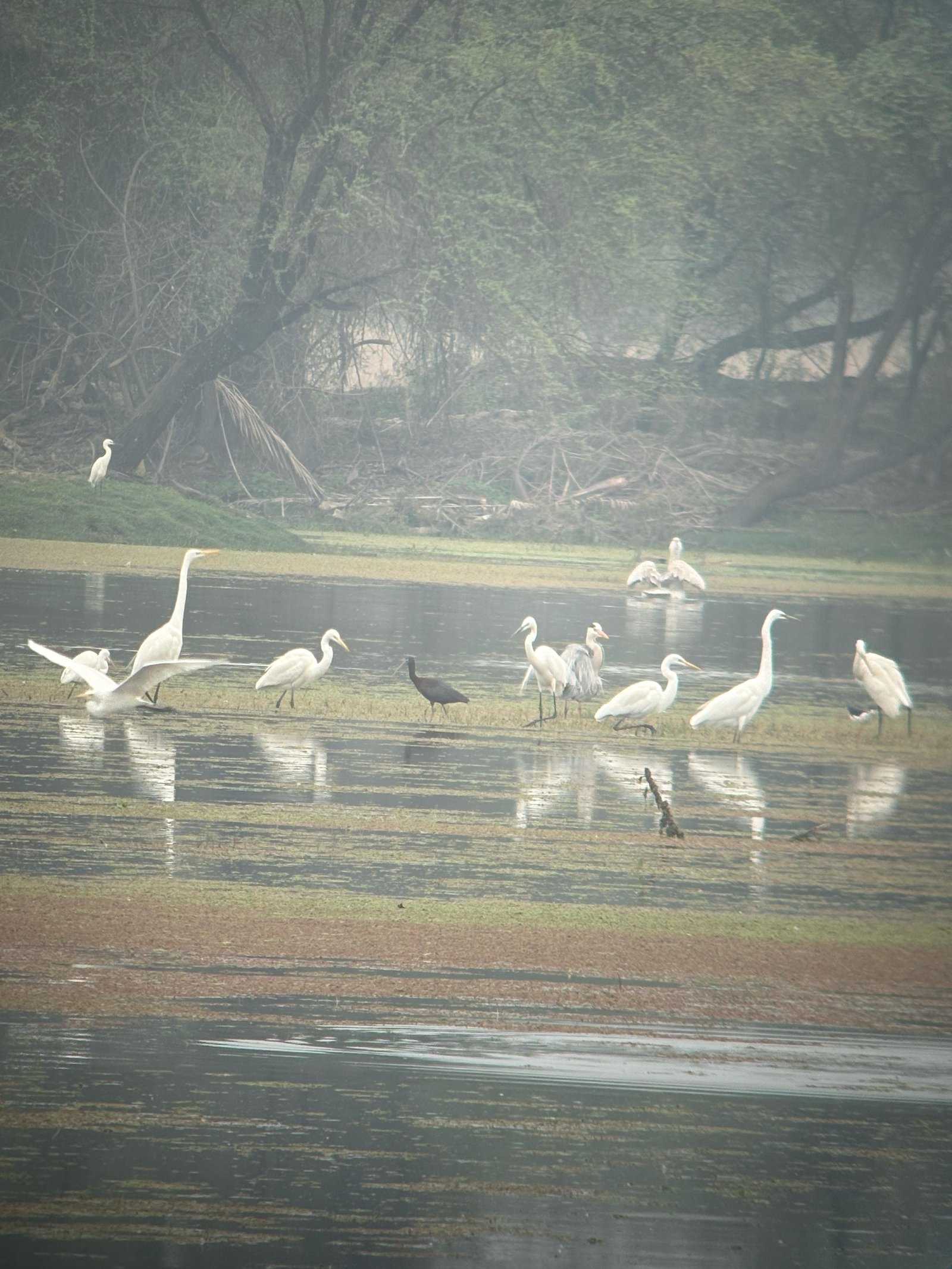 Delhi to Agra & Bharatpur Bird Sanctuary Tour