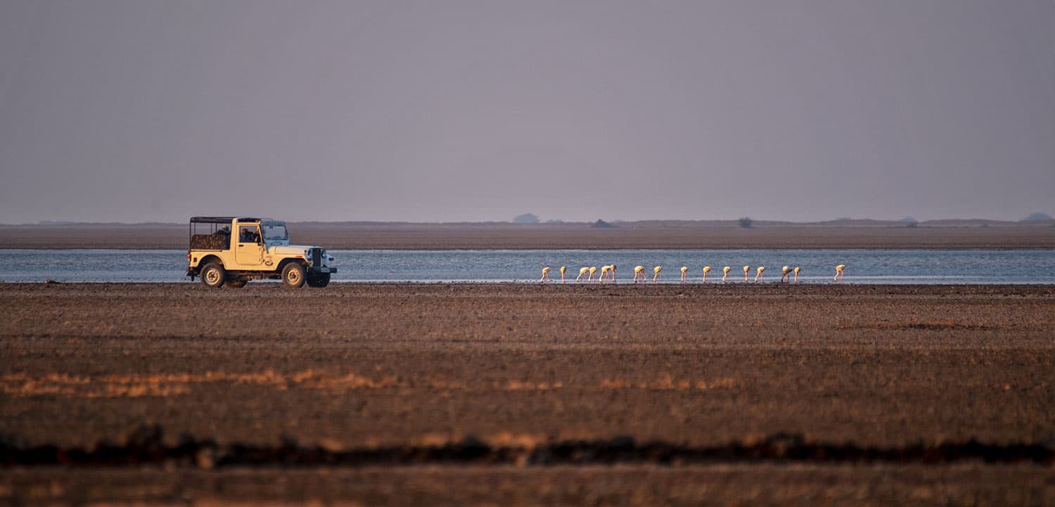 Patan & Little Rann of Kutch