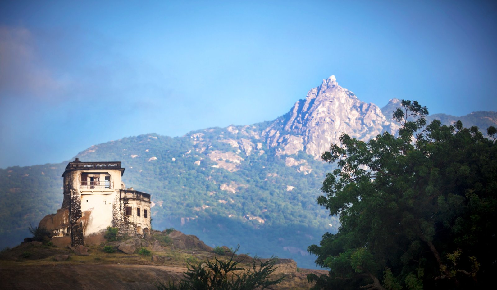 Ahmedabad to Mount Abu - The Dilwara Temples & Mount Abu Sanctuary Tour