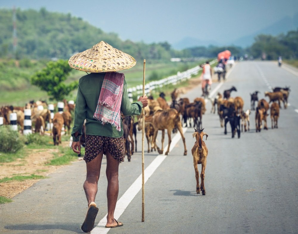 Vizag Sea Shore to Tribal Village in Odisha
