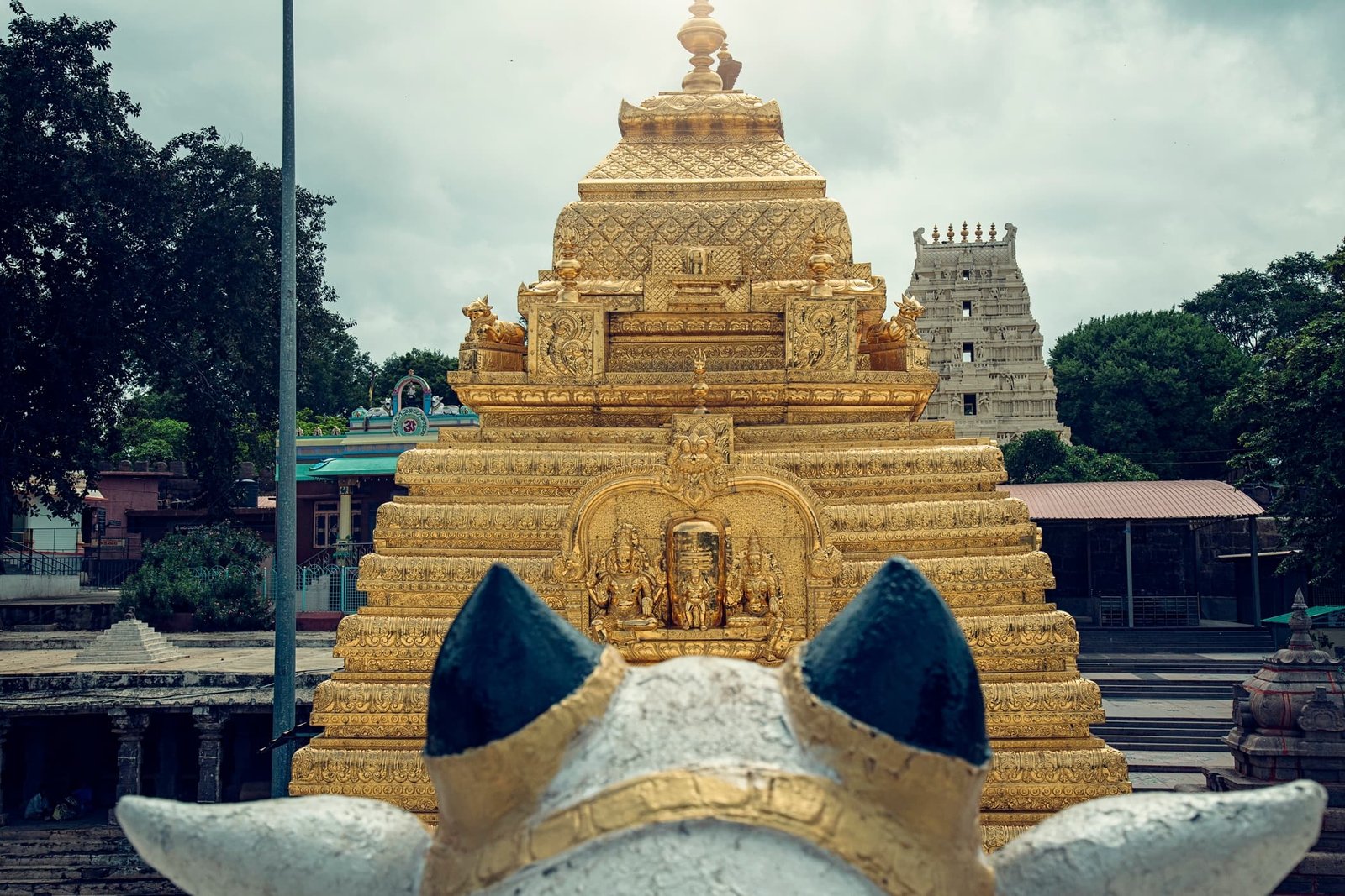Journey to the Jyotirlinga: Mallikarjuna Temple Day Tour