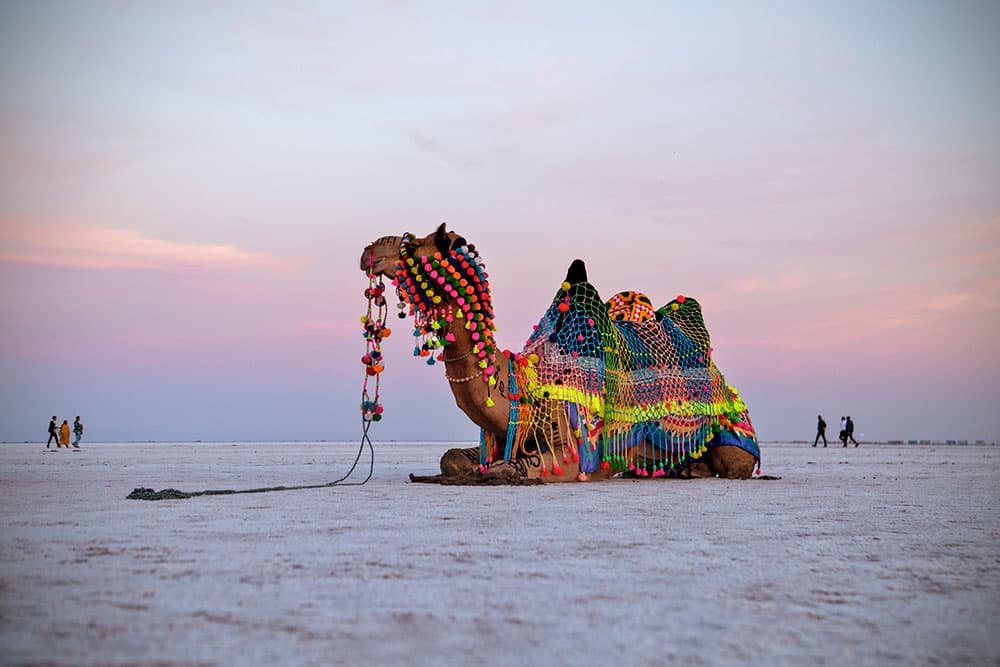 Mumbai to Ahmedabad Art, Craft, Culture & Wildlife Tour