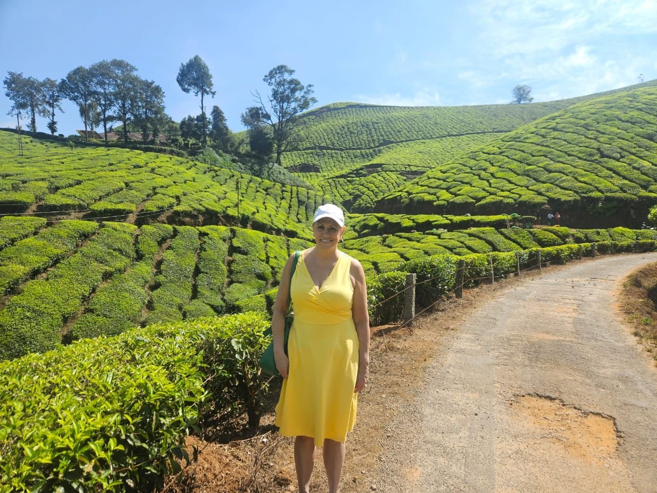 Enchanting Kerala: Tea Estate, Spice Plantation & Backwater Tour