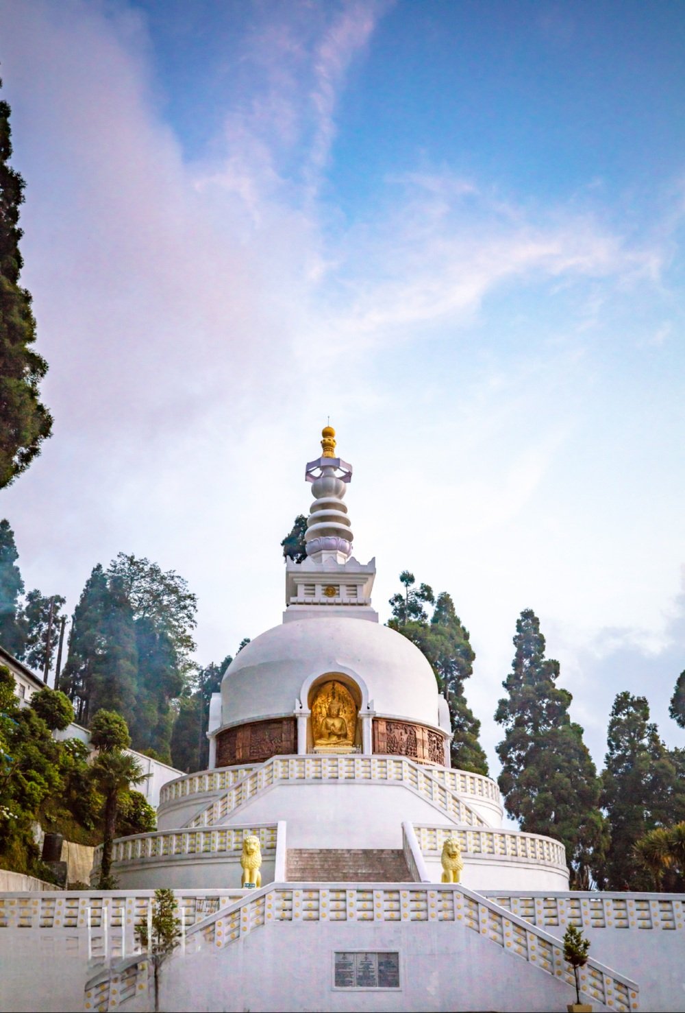 Darjeeling Tea Estate Tour