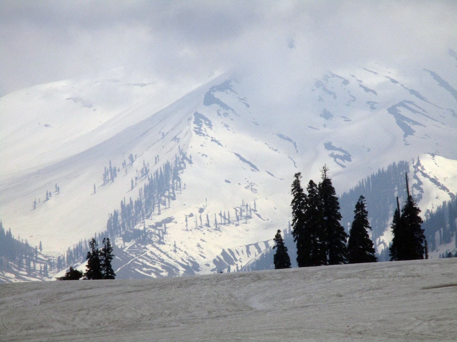 Gulmarg Adventure: A Thrilling Day Trip from Srinagar