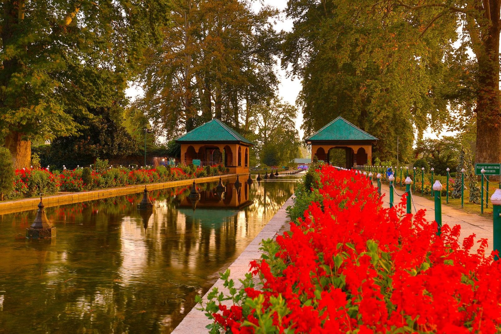 Discovering Srinagar: A 3-Day Tour of the City of Gardens