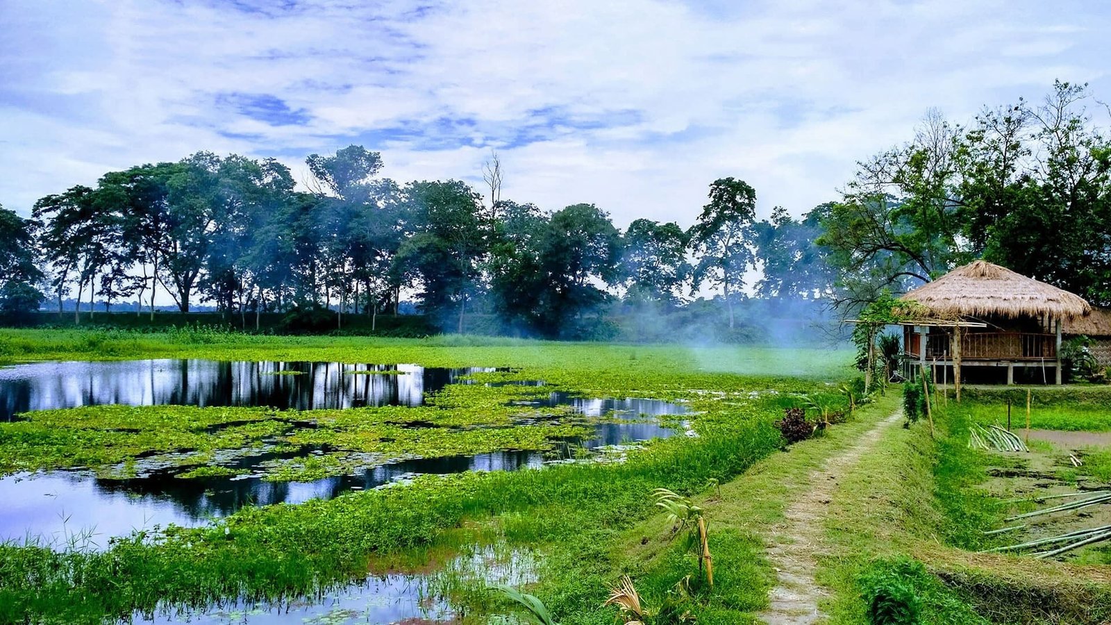 Assam Tea Estate, Rain Forest & River Island Tour