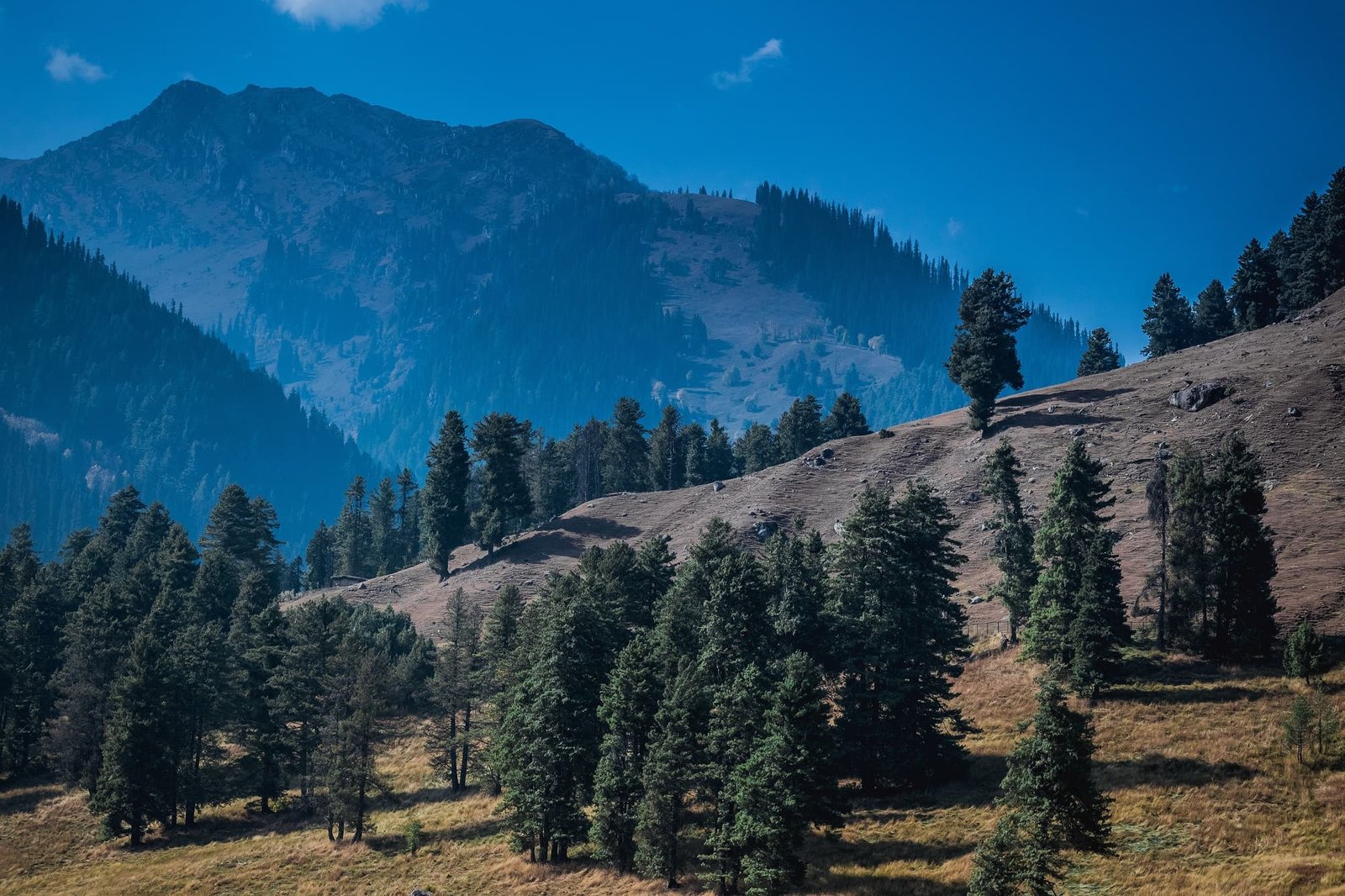Jammu & Kashmir Valley Tour