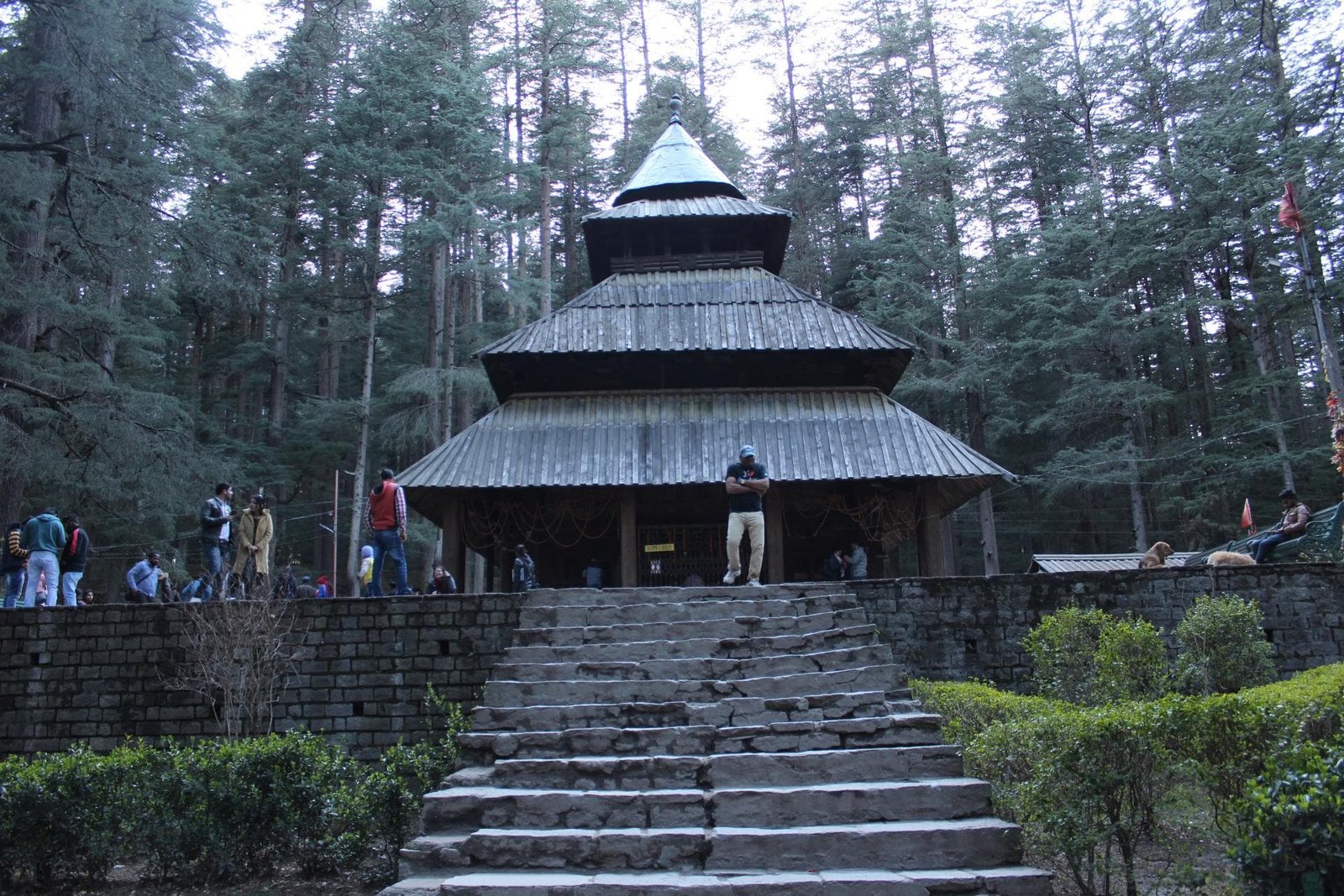 Manali and Shimla Escapade