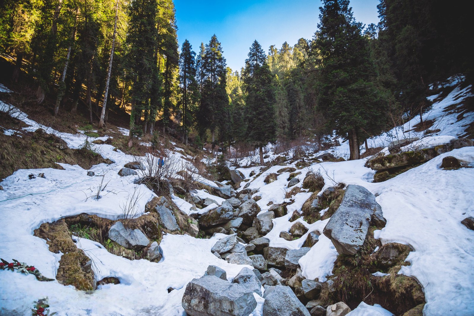 Deep In The Foothill of Himalaya an Adventure Drive (Operate only from June till October)