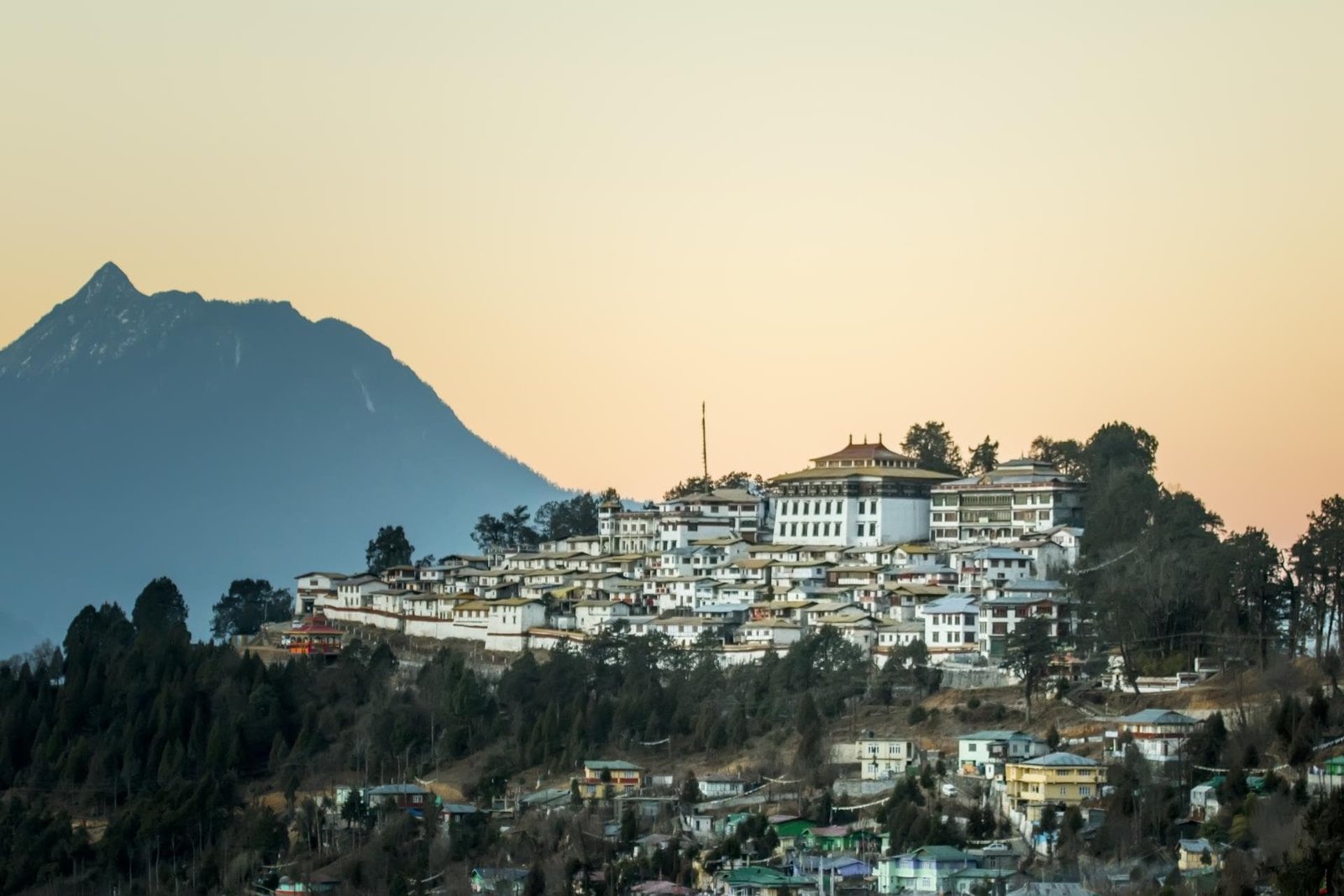 National Park & Buddhist Monasteries Tour from Guwahati