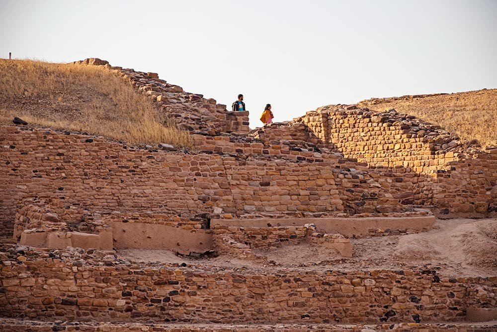 Gujarat Historical, Cultural, Religious & Wildlife Discovery Tour