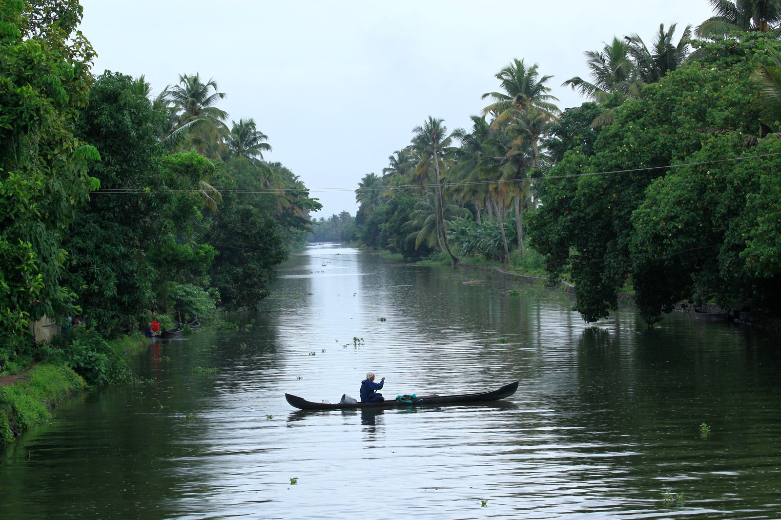 Kerala Hill Station And Backwater Private Tour