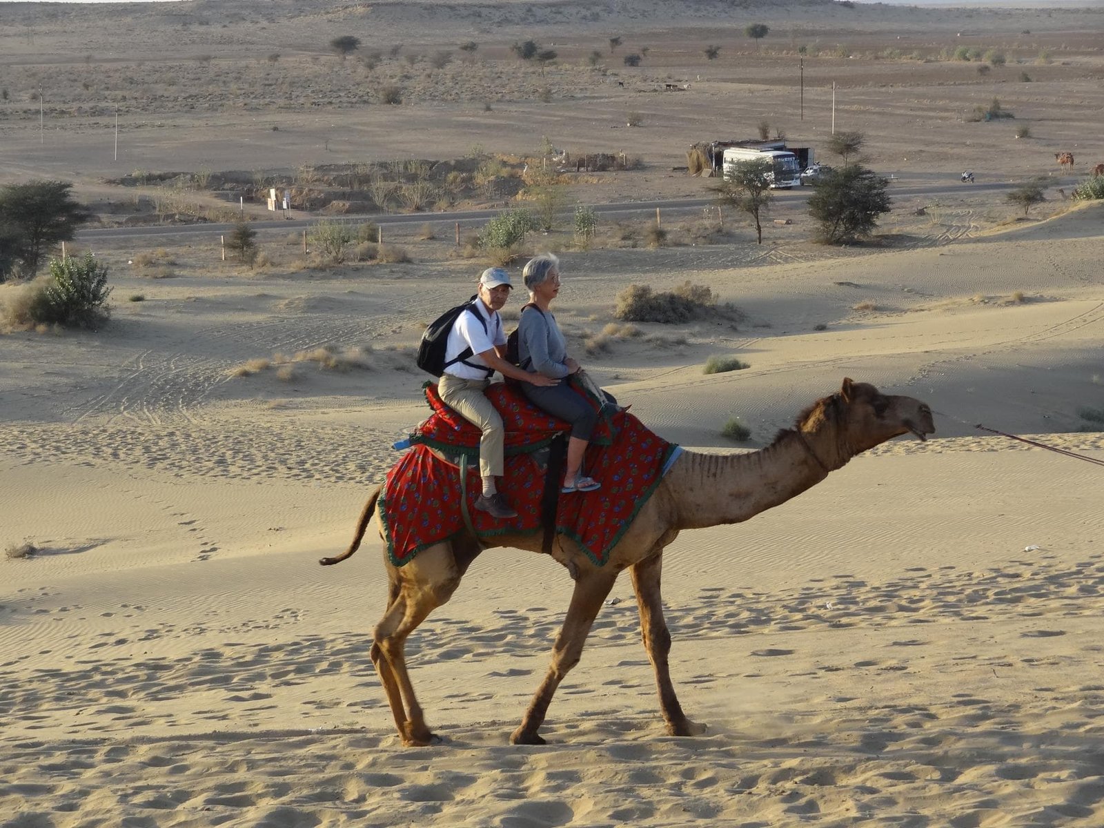 Enchanting Desert Heritage Private Tour
