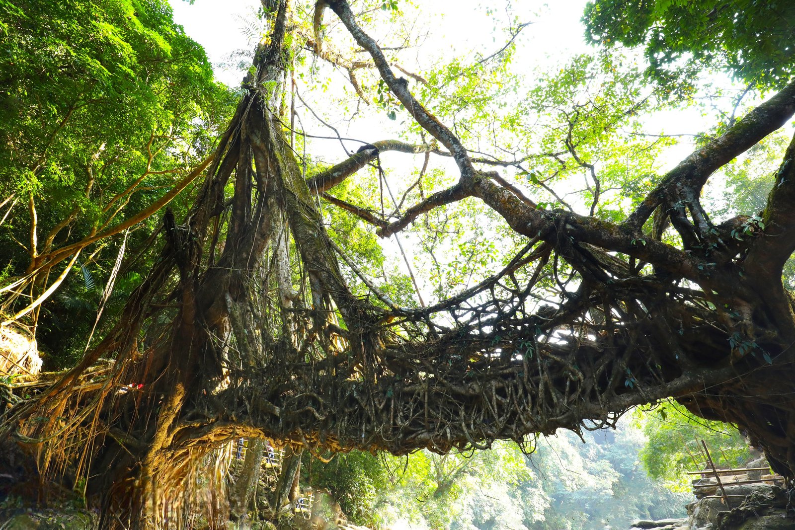 Best of Assam and Meghalaya: 5-Day Tour of Guwahati and Shillong
