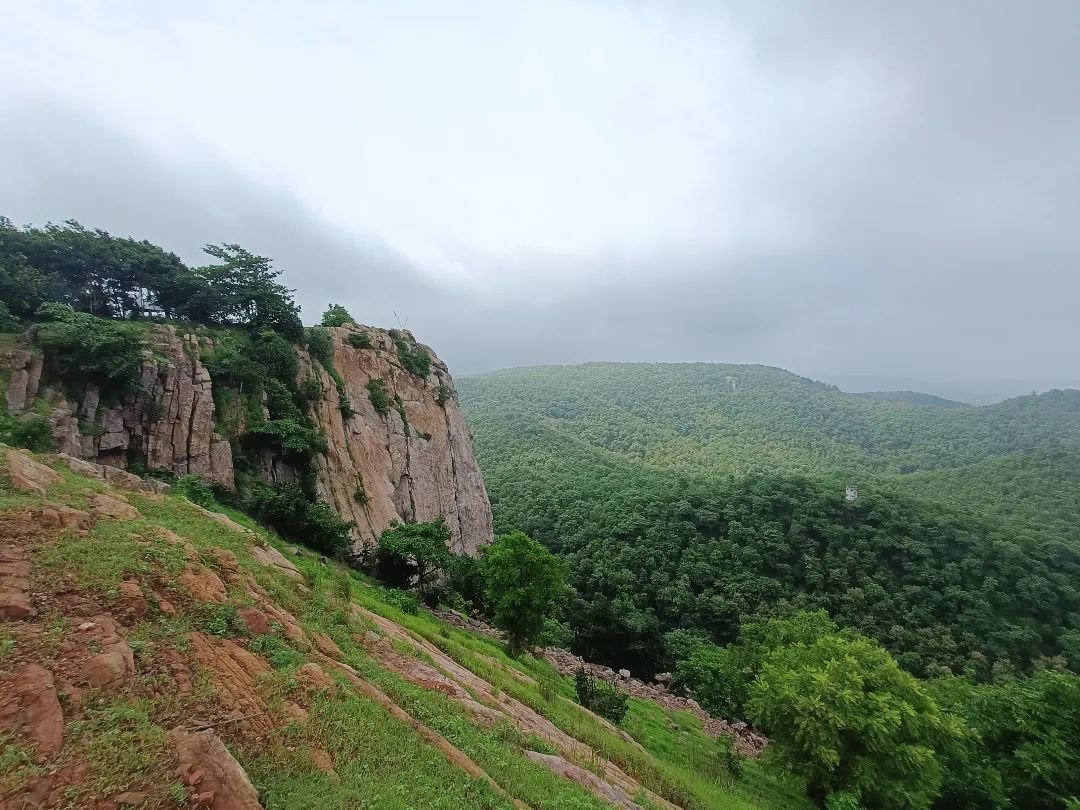 Jambughoda Wildlife & Tribal Tour from Vadodara